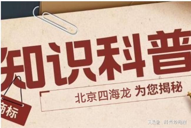 中國版權問題嚴峻的成因剖析-北京四海龍知識產(chǎn)權(圖2)